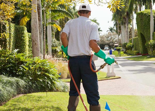 About Kahlotus WA Pest Control